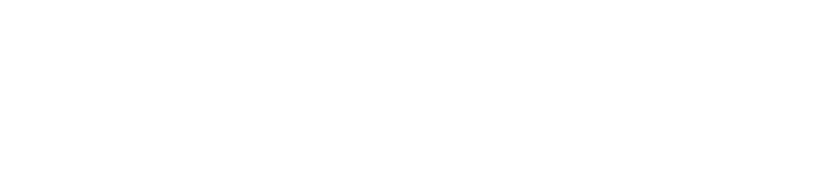 Black Flag Agency